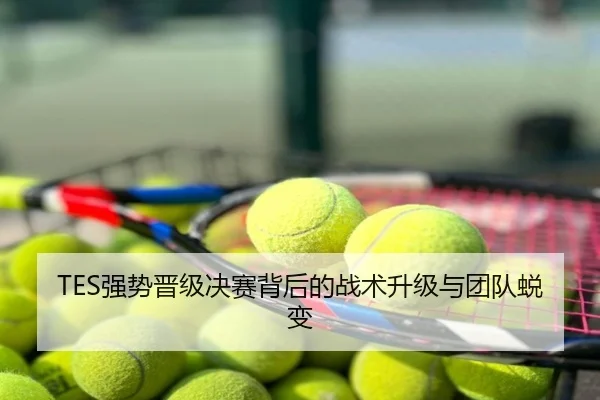 TES强势晋级决赛背后的战术升级与团队蜕变
